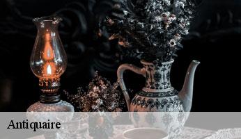 Antiquaire 89 Yonne Franck débarras