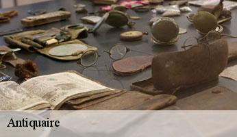 Antiquaire 89 Yonne Franck débarras