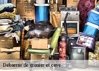 Débarras de grenier et cave  lucy-sur-cure-89270 Antiquaire Sébastien