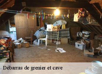 Débarras de grenier et cave  lucy-sur-cure-89270 Antiquaire Sébastien