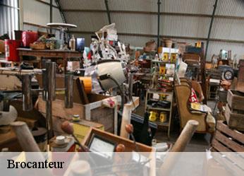 Brocanteur  junay-89700 Antiquaire Sébastien