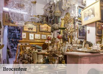 Brocanteur  junay-89700 Antiquaire Sébastien