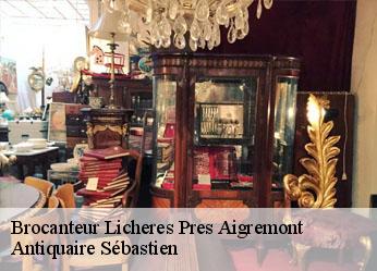 Brocanteur  licheres-pres-aigremont-89800 Antiquaire Sébastien