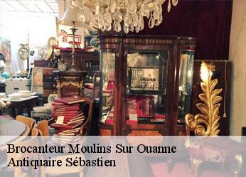 Brocanteur  moulins-sur-ouanne-89130 Antiquaire Sébastien